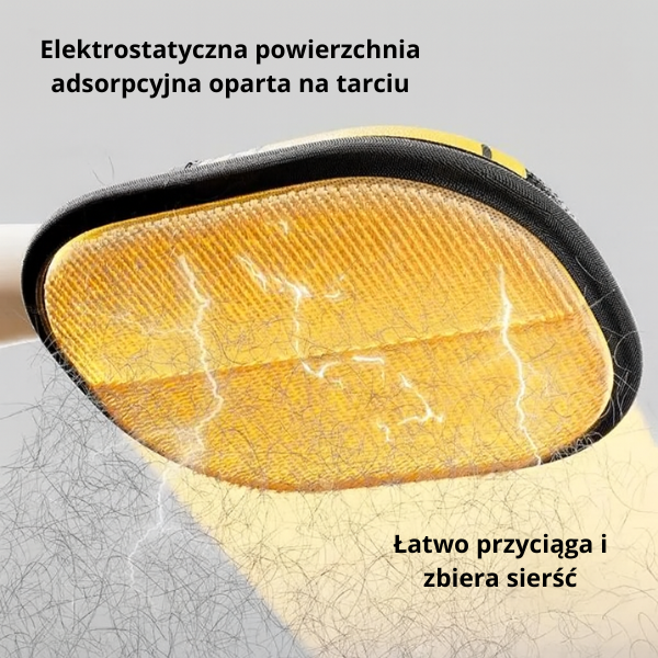 usuwanie futra kota z ubrań