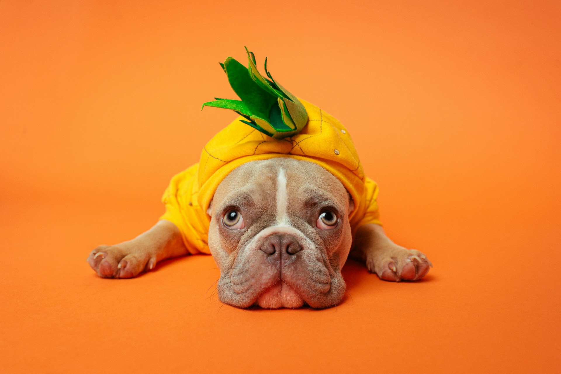 karsten-winegeart-ewfHXBcuFA0-unsplash